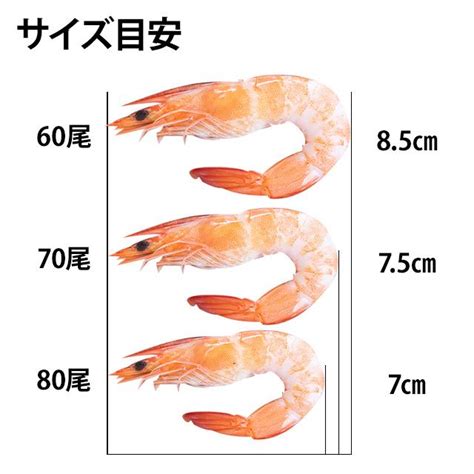 有頭 中ムキボイル海老 1kg 60尾 ムキエビ 有頭海老 中むき ボイルえび 茹で サラダ うま煮 鮮度 旨煮 形がきれい スラポン ...