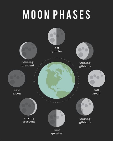 Free vector dark blue background with shiny moon phases – Artofit