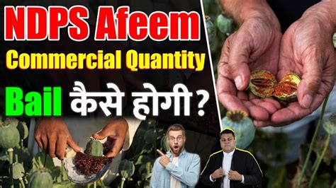 NDPS अफम Afeem Commercial Quantity Case YouTube