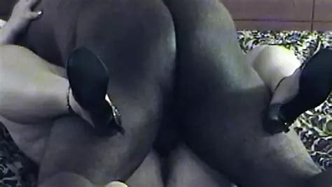 Free Interracial Pounding Porn Videos XHamster