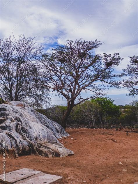 Foto De Imagem De Uma Regi O Rural No Sert O Do Cariri Conta A