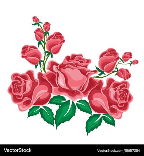 Pink roses in cartoon style Royalty Free Vector Image