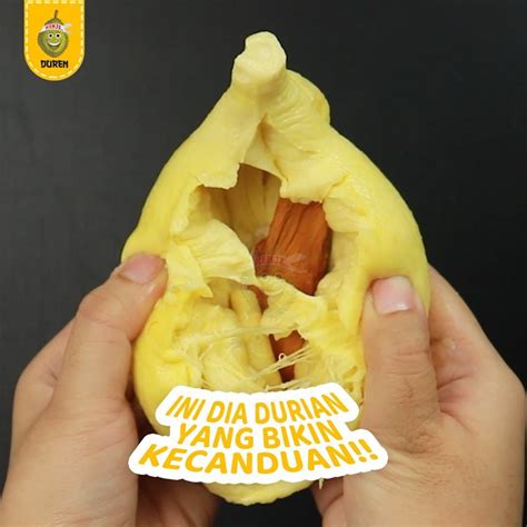 duren kenji mania duren utuh   duren kenji hai hai hai