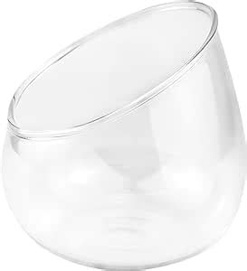 LNQ LUNIQI Glass Slant Cut Bowl Vase Clear Slanted Globe Terrarium