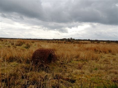 Rusty Wire Roll Killycurragh Kenneth Allen Cc By Sa 2 0