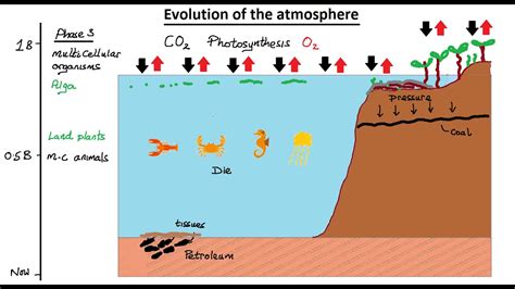 Gcse Chemistry Atmospheric Gases Lesson 2 Atmosphere Evolution