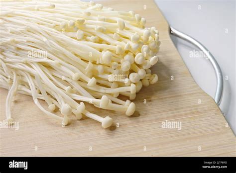 Close-up of cultivated Enoki or Golden needle mushroom, Flammulina ...