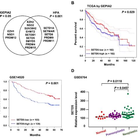 Elevated Setd5 Expression Correlates With Poor Prognosis Of Hcc A