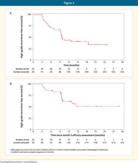 The Current Treatment Landscape Of Bcg Unresponsive Non Muscle Invasive