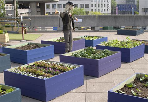 Hochbeet befüllen und pflegen OBI Ratgeber