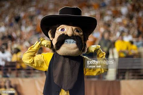 University Of Wyoming Mascot Photos et images de collection - Getty Images