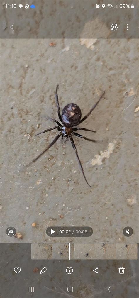 Id Request Middle TN : r/spiders