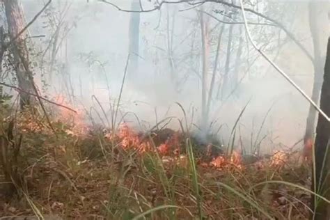 Foto Kebakaran Hutan Lindung Egon Ilinmedo Sikka Meluas Merembet Ke