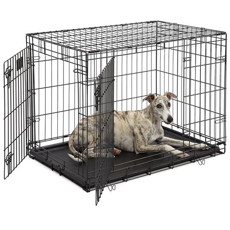 Best 10 Crates For Labrador Retriever | Better dog