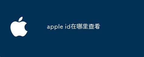 Apple Id在哪里查看 叮当号