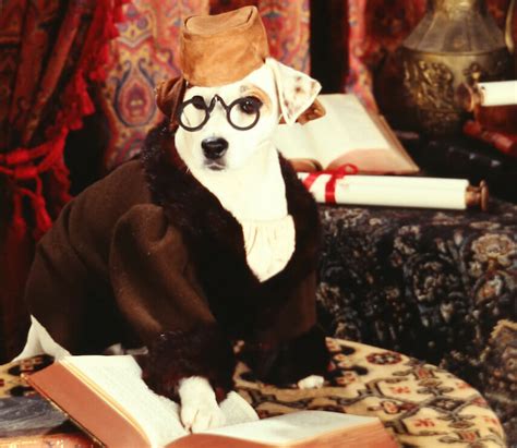 Wishbone’s Original Creators on the TV Show’s Legacy and Uncertain Future