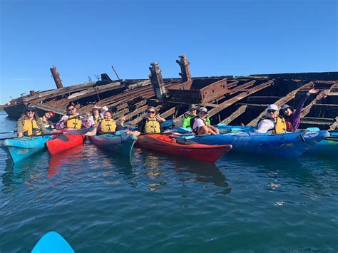 Adelaide Dolphin Sanctuary and Ships Graveyard Kayak Tour - Adelaide ...