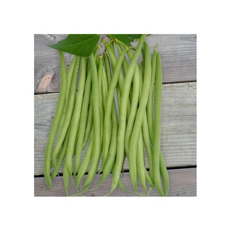 L Gumes Verts