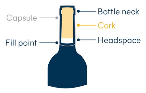 Wine Leaking From The Cork Tips To Avoid Or Stop It