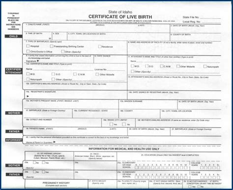 Kentucky Birth Certificate Format Form Resume Examples Q78qqzmy8g