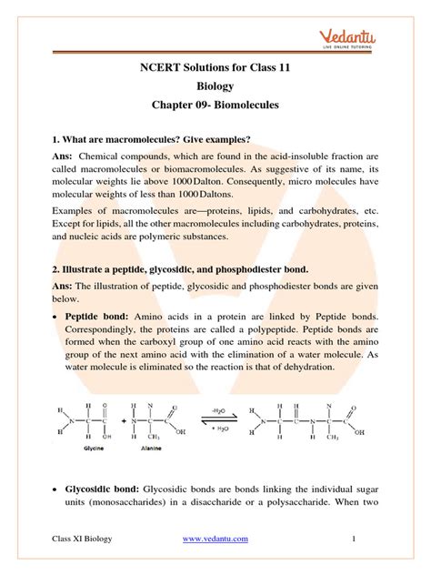 Ncert Solutions For Class 11 Biology Chapter 9 Biomolecules Pdf