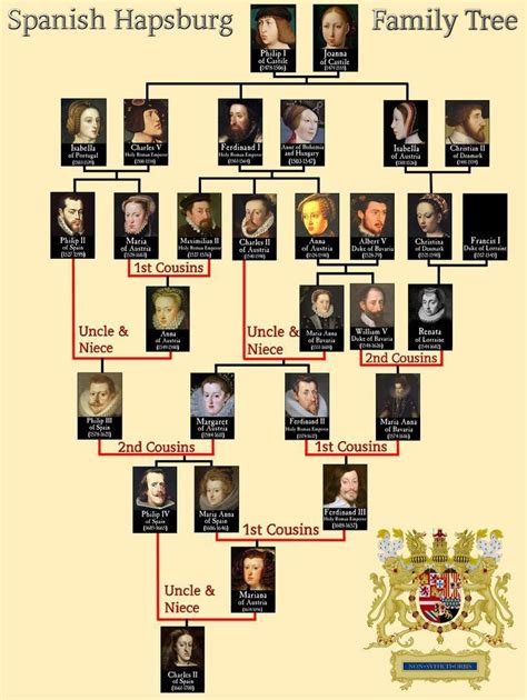 exposing  sorcerers  habsburgs habsburg dynasty family tree