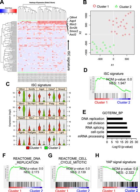 Single Cell Gene Expression Analysis Of Radioresistant Download Scientific Diagram