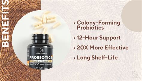 Probiotics 40 Billion Cfu Prebiotics Lactobacillus Acidophilus 60 Caps From Herbs Of The Earth