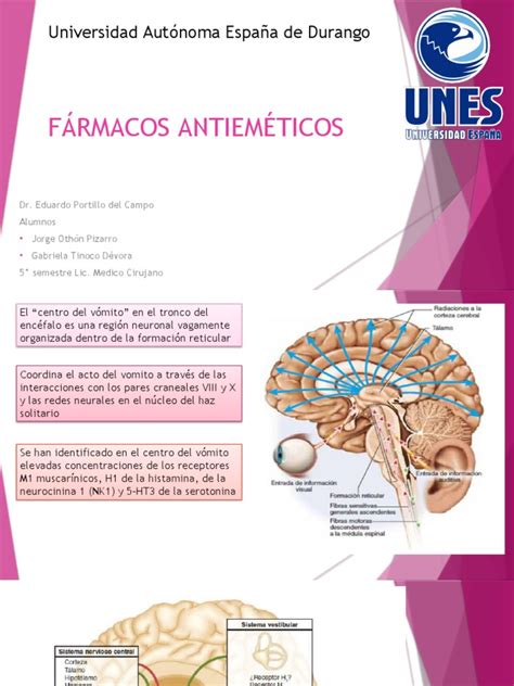 Fármacos Antieméticos Pdf Medicina Tratamientos Médicos