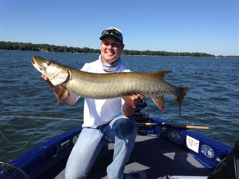 Muskie - Fishing Reports by Species | In-Depth Outdoors