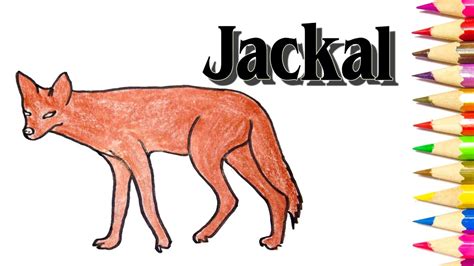 Jackal Drawing Choose your favorite jackal drawings from millions of ...