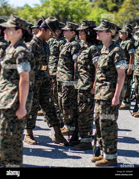 U S Marine Corps Recruits With Echo Company 2nd Recruit Training