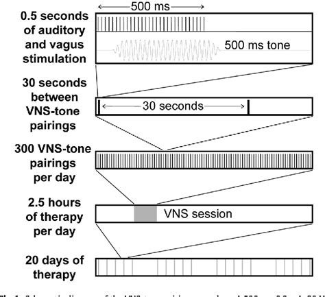 Figure 1 From Vagus Nerve Stimulation Paired With Tones Restores