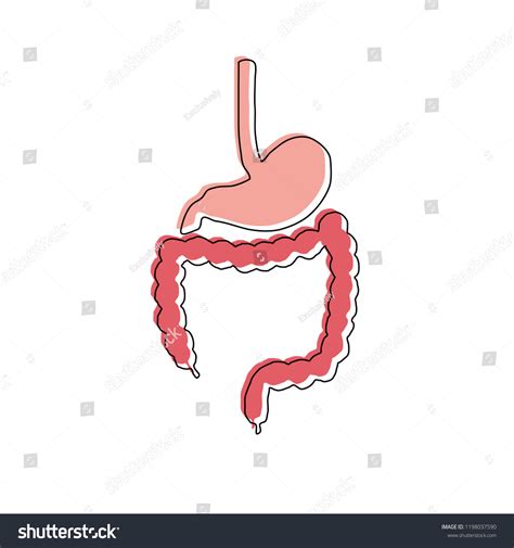 Human Intestines Doodle Icon Overlay Print Stock Vector Royalty Free