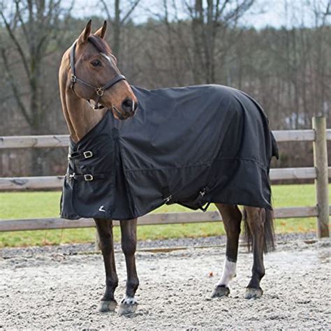 Best Rain Sheets For Your Horse