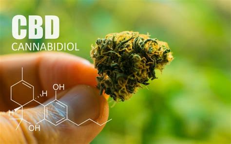 Aceite de CBD Cómo funciona el cannabidiol Cbeuhd