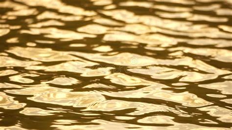 Sun Reflecting On Sparkling Sea Lake Water Surface Ocean At Sunset