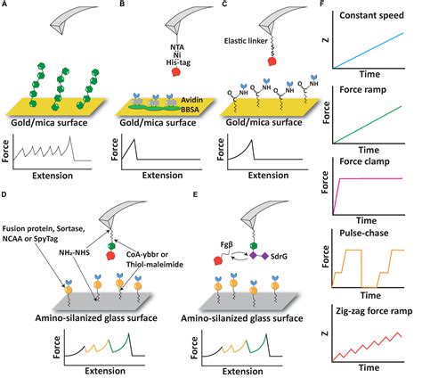 Frontiers Next Generation Methods For Single Molecule Force