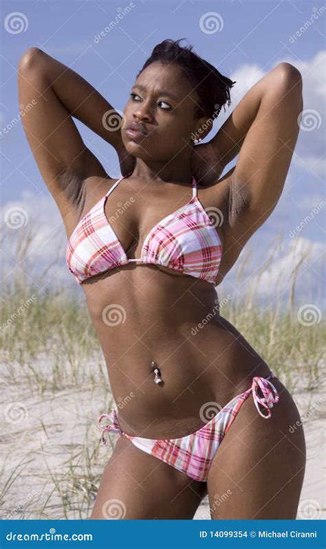 Bikini Babe Stock Image CartoonDealer