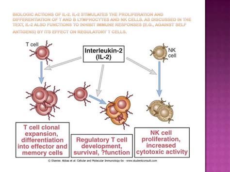 Interleukins And Interferon Gamma