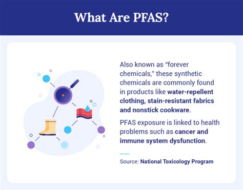 What Products Contain Pfas How To Protect Yourself