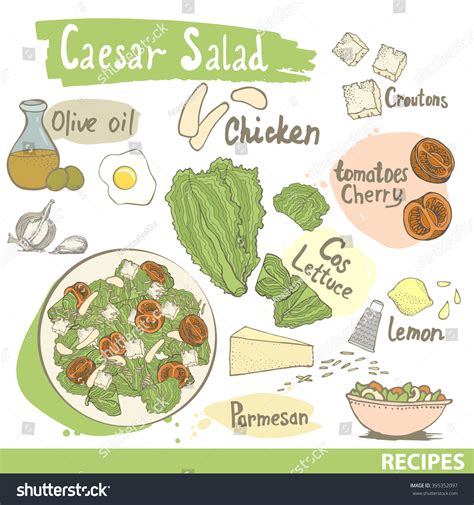 Vector Illustration Ingredients Caesar Salad Chicken Stock Vector