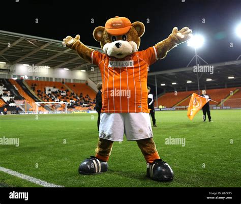 The Blackpool Mascot Bloomfield Bear Hi Res Stock Photography And