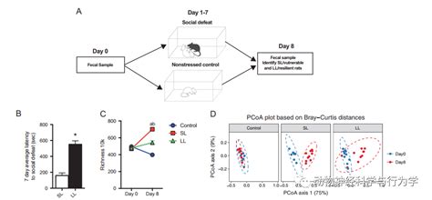 肠道微生物菌群对应激易感大鼠抑郁样行为及腹侧海马炎症反应的调节作用 腾讯新闻