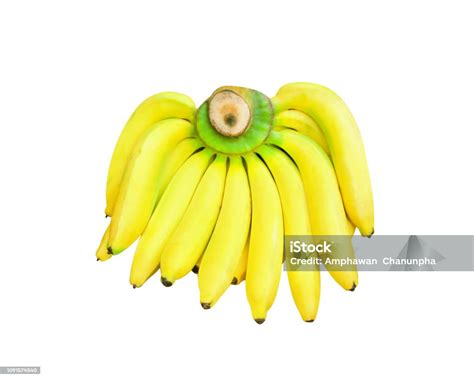 Fresh Ripe Yellow Bananas Group Isolated On White Background With