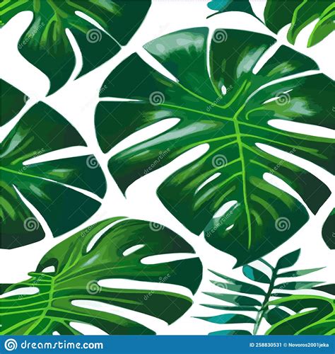 Green Monstera Pattern White Background Exotic Pattern With Tropical Leaves Vector