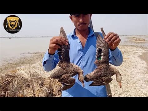 Duck Hunting With Bore Gun Murghabi Ka Shikar Duck Hunting In