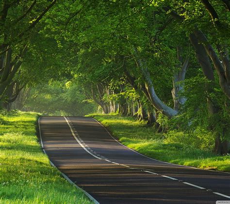 312+ Wallpaper Hd Nature Road Images - MyWeb