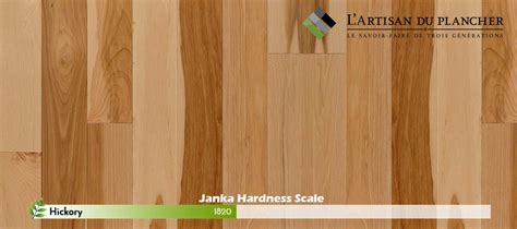 Hickory Hardwood Flooring Hardness Scale Floor Roma