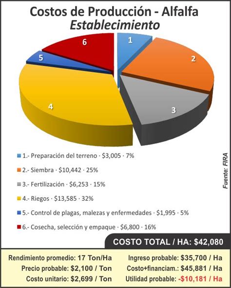 Costos de producción 2019 Alfalfa Panorama AGROPECUARIO